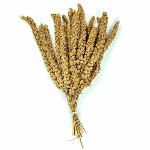 A&E Cage ZVP-2004 22 lbs European Millet Spray Perspective: front