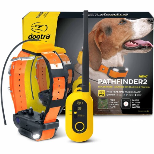 sammenbrud Pludselig nedstigning maskulinitet Dogtra Pathfinder 2 GPS Dog Tracker & Training Collar, Case of 1 - Fred  Meyer