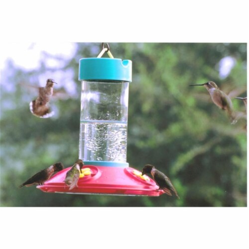 Songbird Essentials SE6006 Dr. JB's Clean Hummingbird Feeder Perspective: front