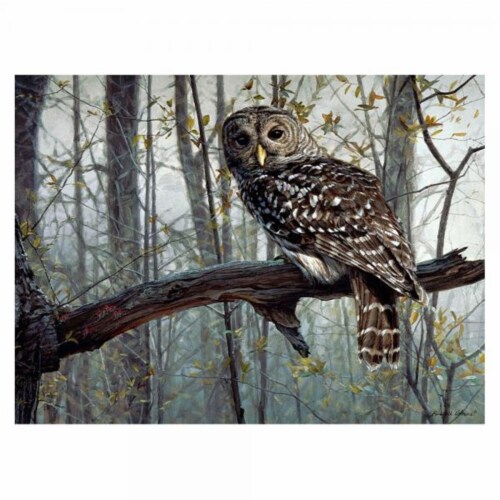 Gift Essentials GEP104 Spirit of the Forest Puzzle - 1000 Piece Perspective: front