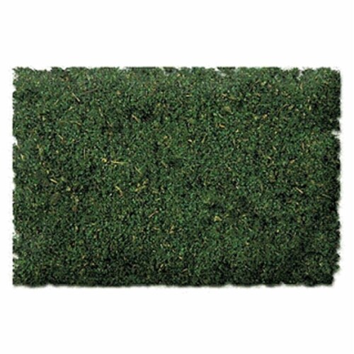 Scenic Express SEX885B 32 oz Forest Floor Blend Perspective: front