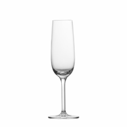 FORTESSA Banquet Wine Glass - Champagne Perspective: front