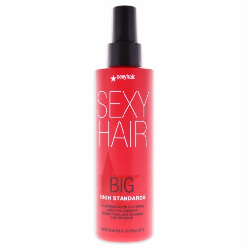 Big Sexy Hair High Standards Volumizing Blow Out Spray 6.7oz Big Sexy Hair High Standards Volumizing Blow Out Spray 6.7oz