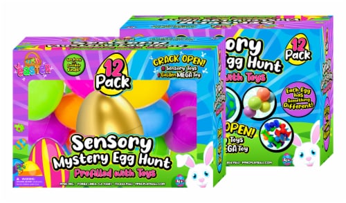 Mystery Egg Hunt Sensory Toy Set Perspective: front