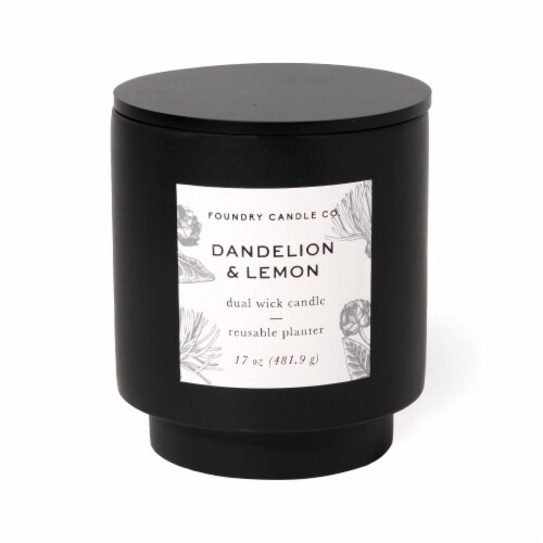 Foundry Candle Co. Dandelion & Lemon Scented Jar Candle Perspective: front