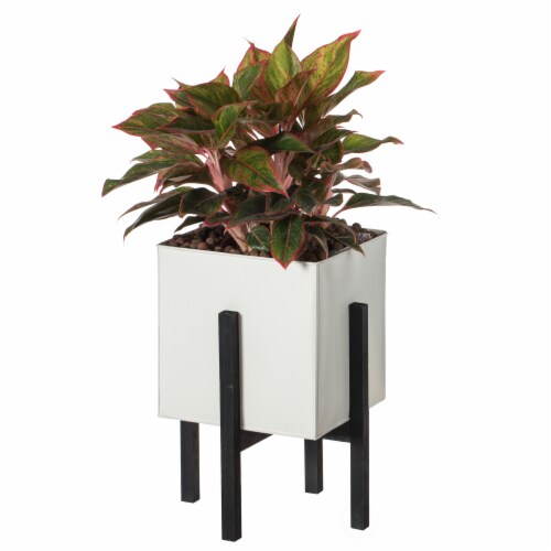 Indoor and Outdoor White Iron Planting Box with Black Wooden Frame Large Perspective: front