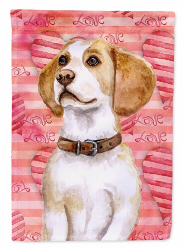 Carolines Treasures BB9773CHF Beagle Love House Flag, Red Perspective: front