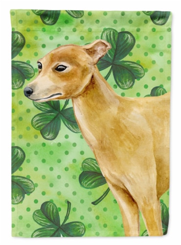 greyhound st patrick day