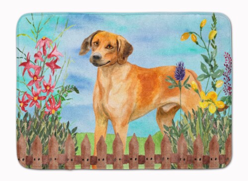 Carolines Treasures  CK1238RUG Rhodesian Ridgeback Spring Machine Washable Memor Perspective: front