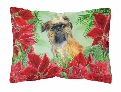 Carolines Treasures CK1335PW1216 Brussels Griffon Poinsettas Canvas Fabric Deco Perspective: front