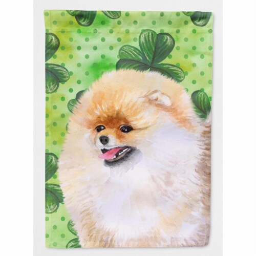 st patricks day pomeranian puppy