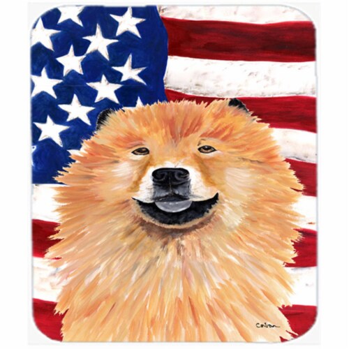 American chow chow clearance