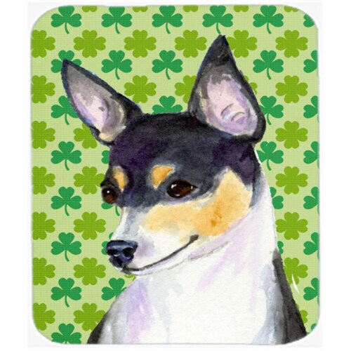 hd chihuahua st patricks day