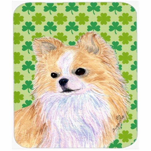 hd chihuahua st patricks day