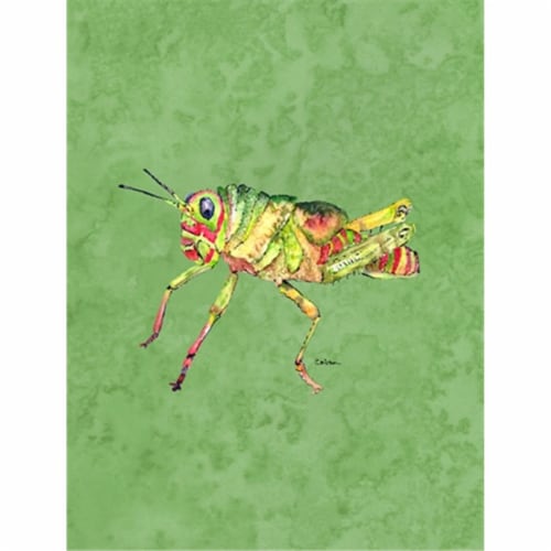28 x 40 In. Grasshopper On Avacado Flag Canvas, House Size Perspective: front