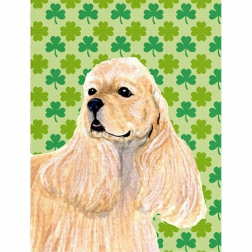 st patricks day garden stakes