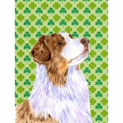 australian shepherd st patricks day
