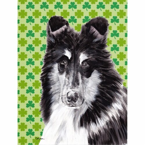 st patricks day flag tshirt