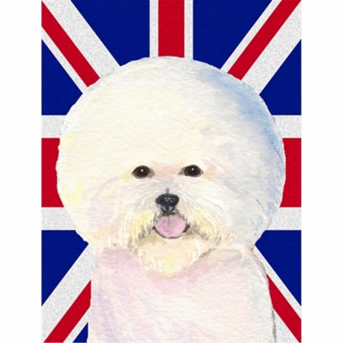 Bichon sales in english