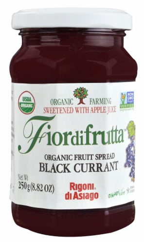 Rigoni di Asiago Fiordifrutta Organic Fruit Spread - Black Currant Perspective: front