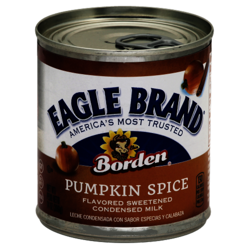 Eagle Brand Pumpkin Spice Flavored Sweetened Condensed Milk Perspective: front