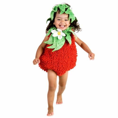 Princess 410294 Girls Suzie Strawberry Child Costume - Extra Small Perspective: front