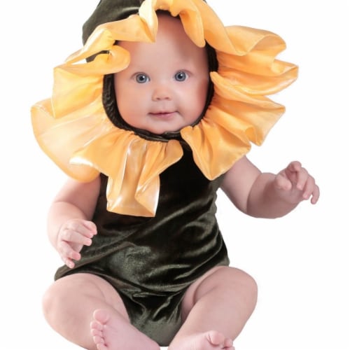 Prin5500 280686 Baby Anne Geddes Flower Costume, 18 Months-2T Perspective: front