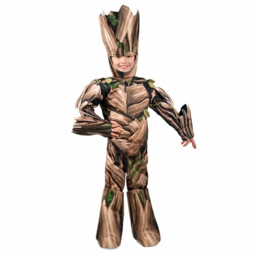 Princess Paradise 278144 Halloween Boys Avengers Infinity Wars Adolescent Groot Costume - Ext Perspective: front