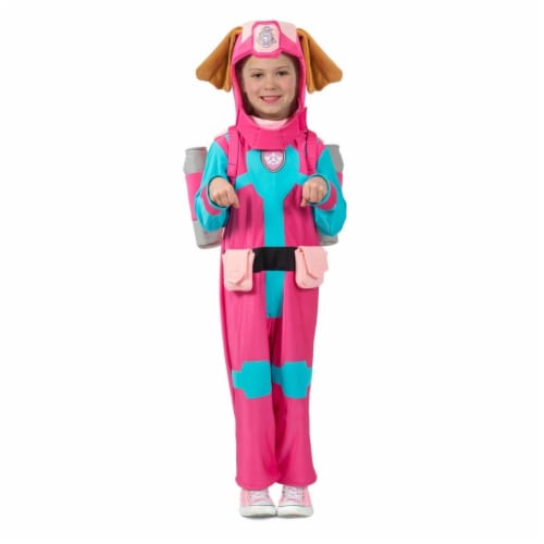 Paw patrol best sale sea patrol sky