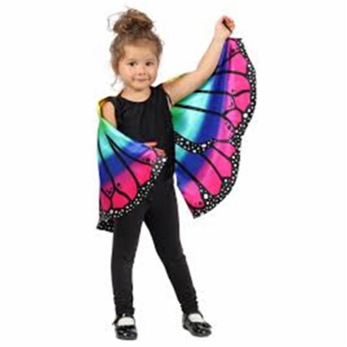 Princess Paradise Girls Child Rainbow Butterfly Cape&#44; One Size Costume Perspective: front