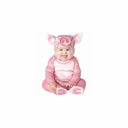 Princess Paradise Infant Littlest Piggy Costume&#44; 12-18 Month Costume Perspective: front