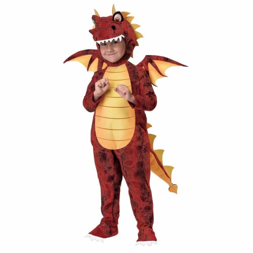 Princess Paradise Child Fuego The Dragon Costume For Boys&#44; Medium Costume Perspective: front