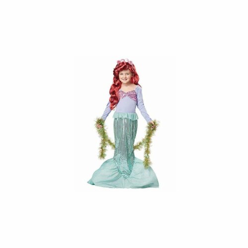 Princess Paradise 414020 Child Littlest Mermaid Costume for Girls, Small Perspective: front