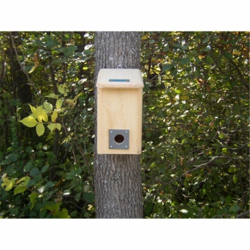 Small Winter Roosting House Bird Roost Box Perspective: front