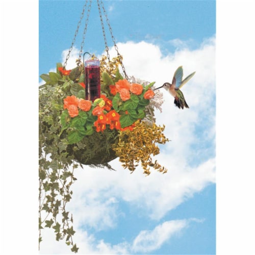 Hummingbird Basket Planter Feeder Perspective: front