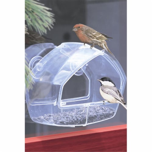 Wild Bird Window Feeder - Clear Perspective: front