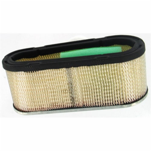 Briggs & Stratton 493909 Air Filter With Prefitter  334 Perspective: front