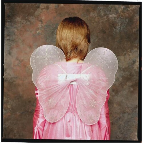 Fairy Wings Costume - Pink - Size Child Perspective: front