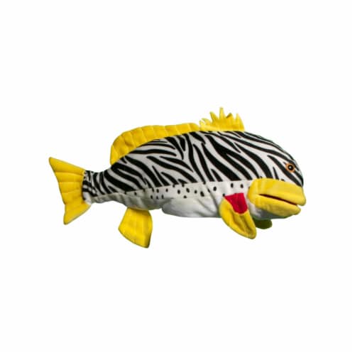 tropical fish shop online