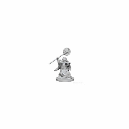Dungeons & Dragons Nolzurs Marvelous Miniaturess of Dwarf Female Wizard W4 Perspective: front