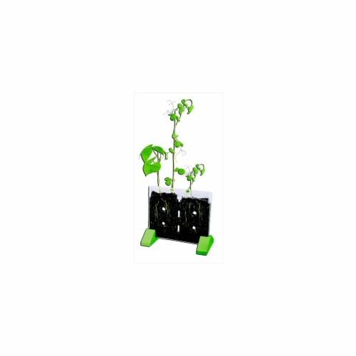 Educational Insights 070141 GeoSafari Sprout And Grow Window Kit Perspective: front