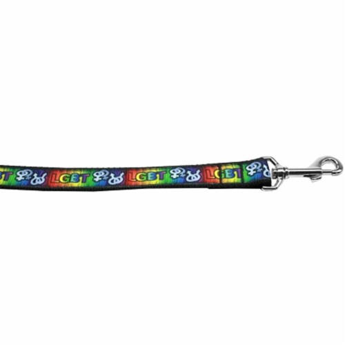 Mirage Pet Products 125-193 5806 0.625 in. 6 ft. LGBT Nylon Dog Leash Perspective: front