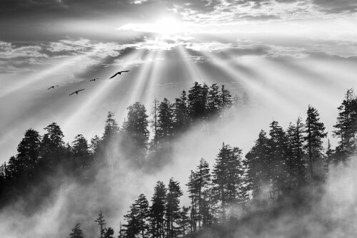 Mountain Sunrise 13 Wall Art Perspective: front