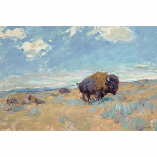 Masterpiece Art Gallery Wall Decor - Buffalo Light Perspective: front