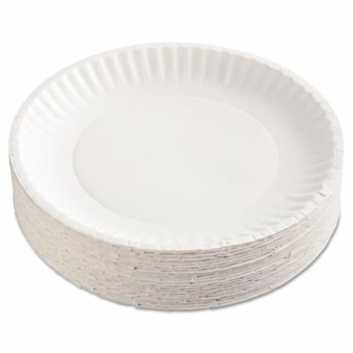 300 Pack Disposable White Uncoated Paper Plates, 9 Inch Large 300 Count