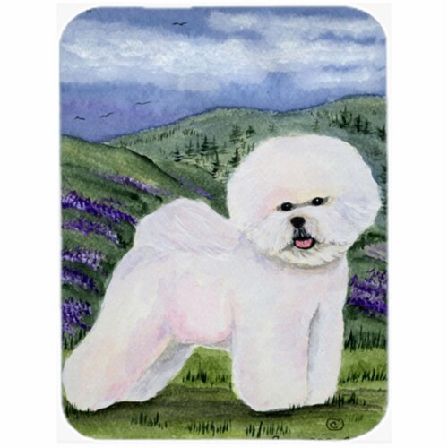 Large bichon top
