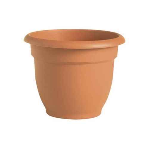 20-56106 6 in. Clay Ariana Planter Perspective: front