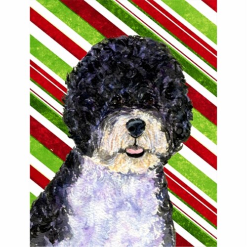 28 x 40 In. Portuguese Water Dog Candy Cane Holiday Christmas Flag Canvas, House Size Perspective: front