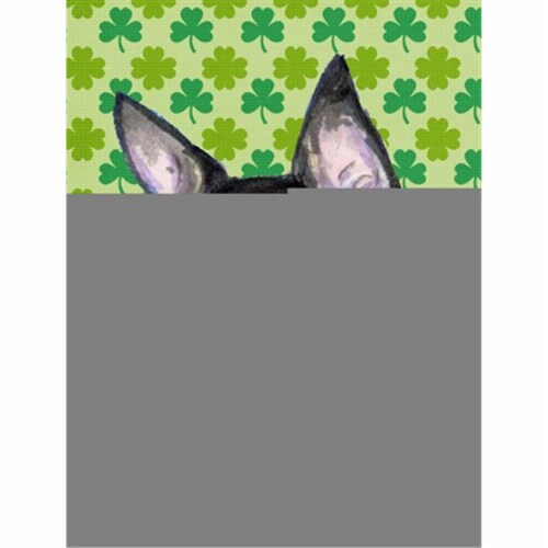 chihuahua st patricks day