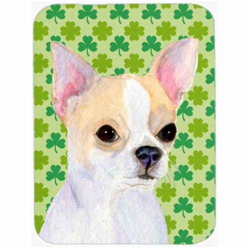 st patricks day pictures of chihuahua
